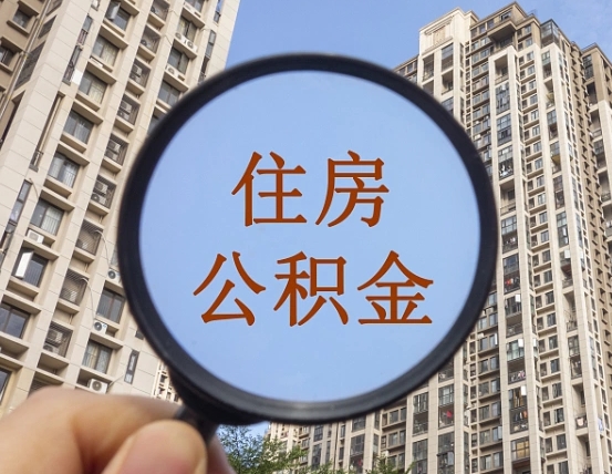 张家界退休后查不到公积金明细了吗（退休后公积金查询不到原因）